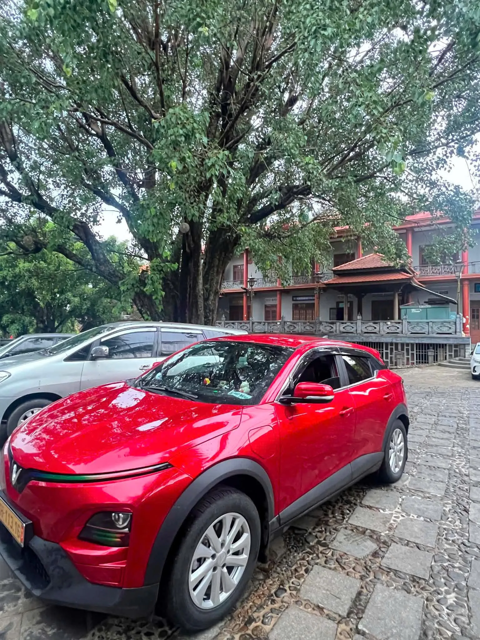 Xe taxi điện đậu dưới tán cây cổ thụ