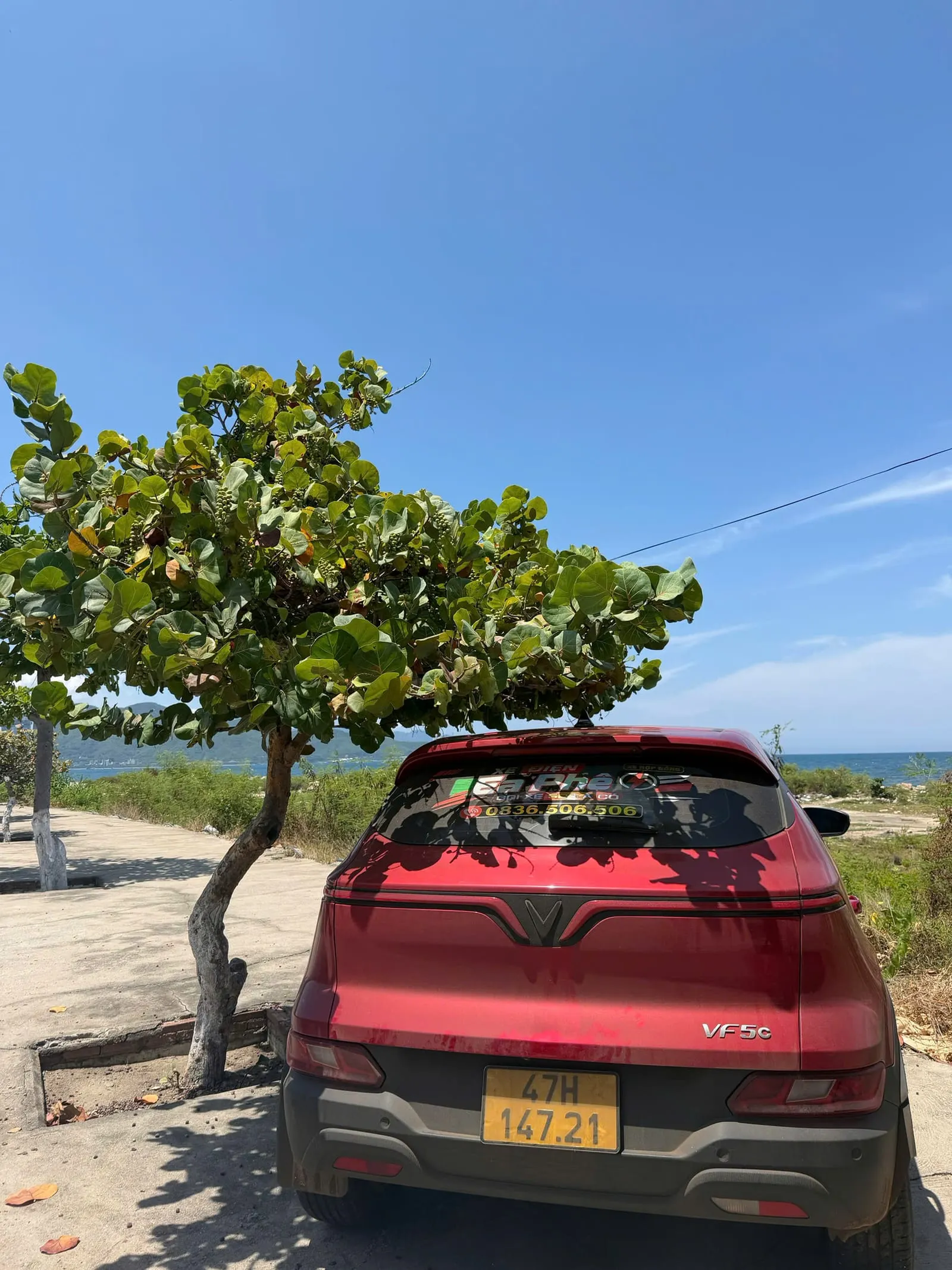 Xe taxi điện đậu ven biển sau chuyến đường dài