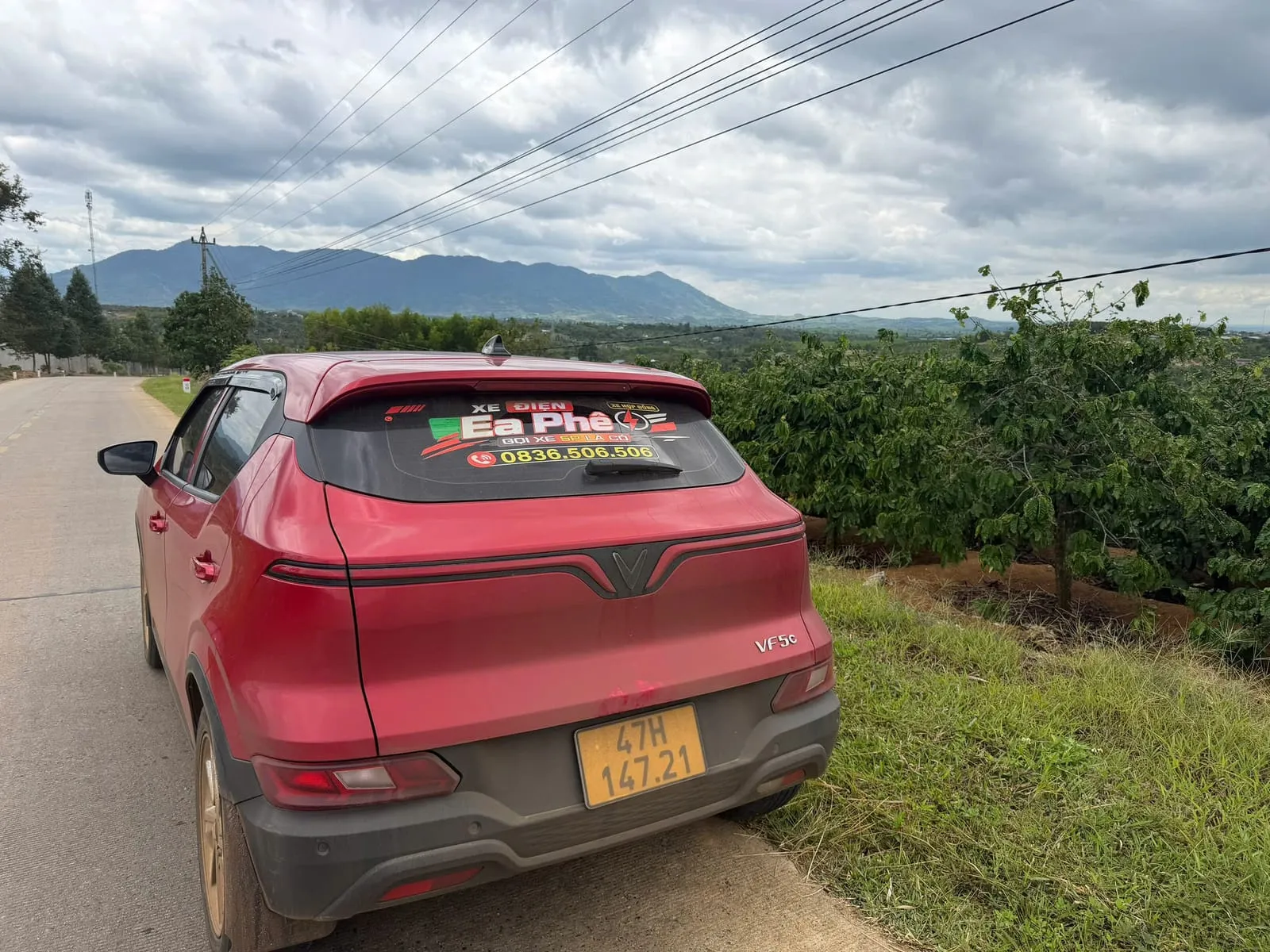 Xe taxi điện đậu bên đường giữa rẫy cà phê ở xã Ea Knuếc